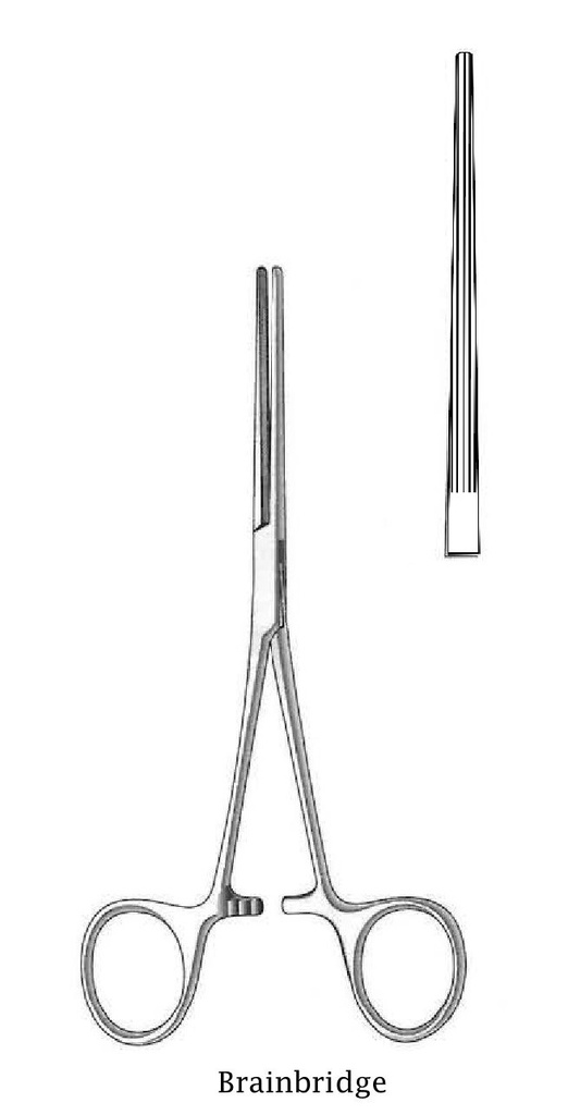 Pinza emostatica h. mosquito sterile - retta - 12,5 cm - conf